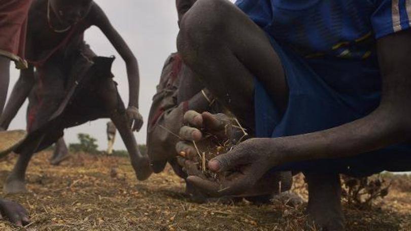 Sudão do Sul

Aproximadamente, 4,8 milhões de pessoas, o que significa mais de um terço da população do Sudão do Sul, sofrerão nos próximos meses com a falta de alimentos e necessitam ajuda urgente, advertiu na quarta-feira a Organização das Nações Unidas (ONU).